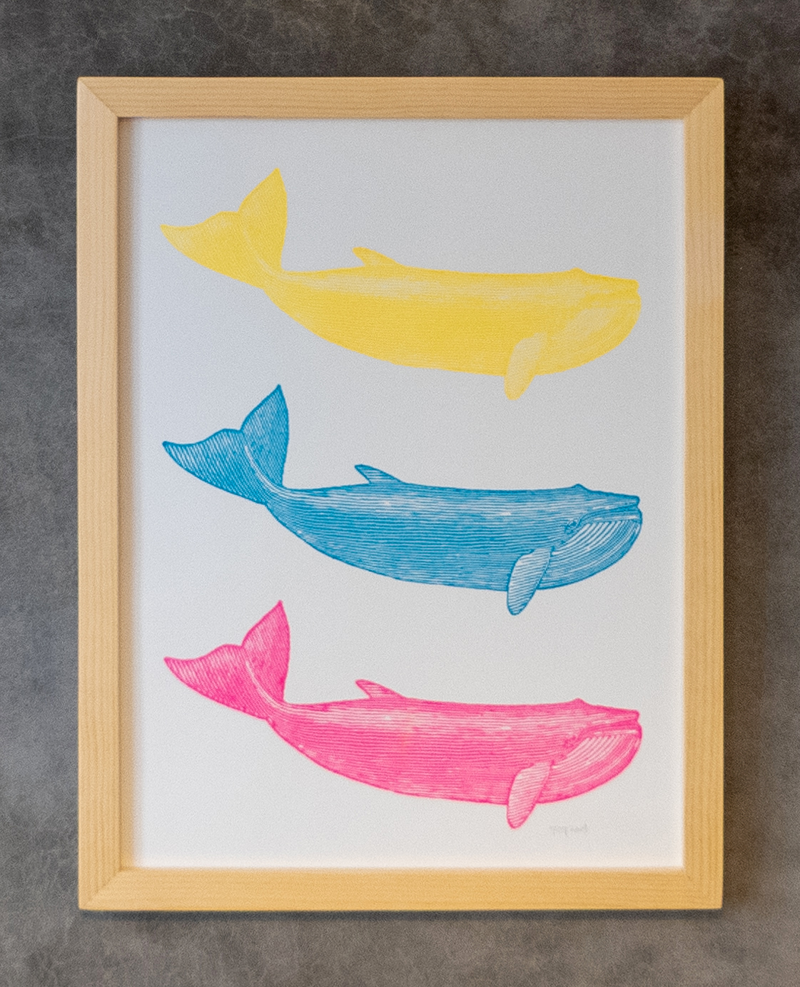 Linogravure. 3 baleines fluo. Format 33 x 43 cm.